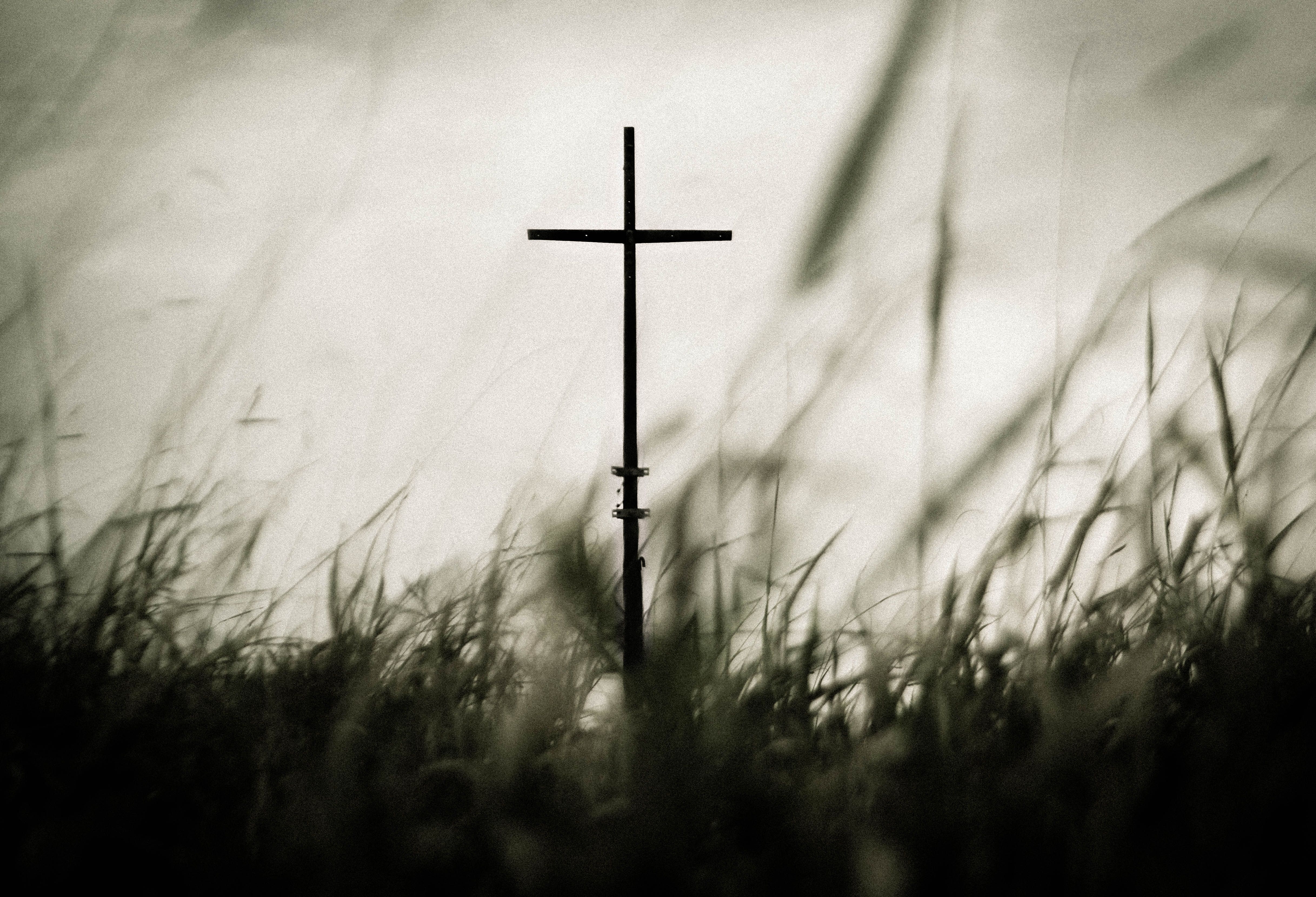 4870x3330  #cross, #forest, #tumblr, #christ, #explore, Desktop