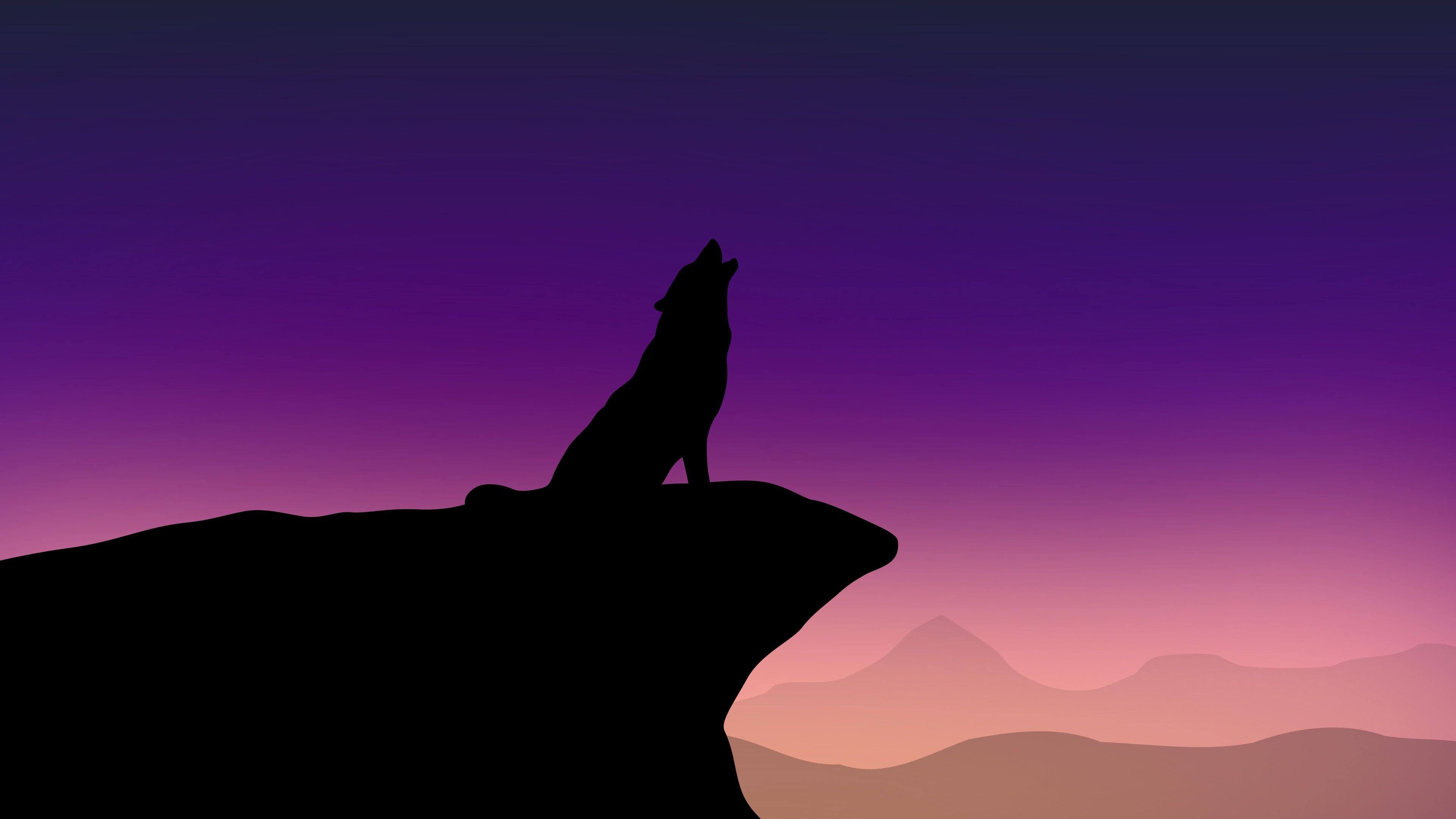 3840x2160 Howling Wolf Minimalism 4k 2048x1152 Resolution HD 4k, Desktop