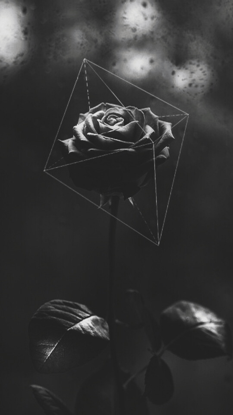 750x1340 Dark Flower Aesthetic Wallpaper Wallpaper Popular Dark Flower Aesthetic Wallpaper Background, Phone