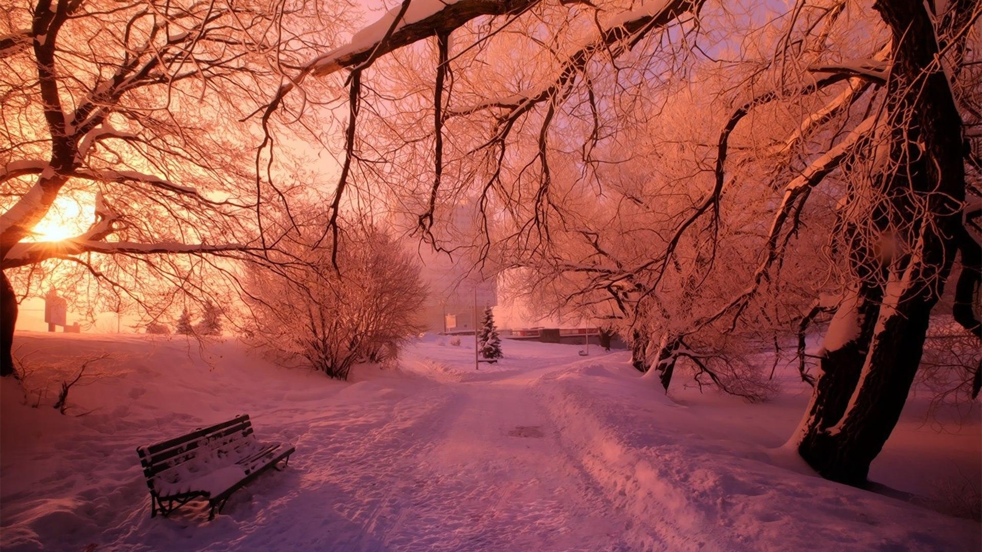 1920x1080 Pink snow in winter park wallpaper and image, Desktop