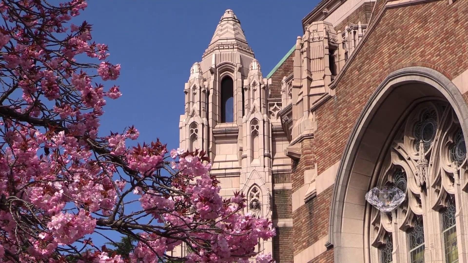 1920x1080 University of Washington, Desktop