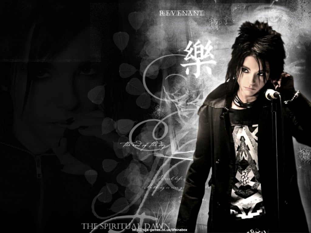 1030x770 Bill Wallpaper Kaulitz Wallpaper, Desktop