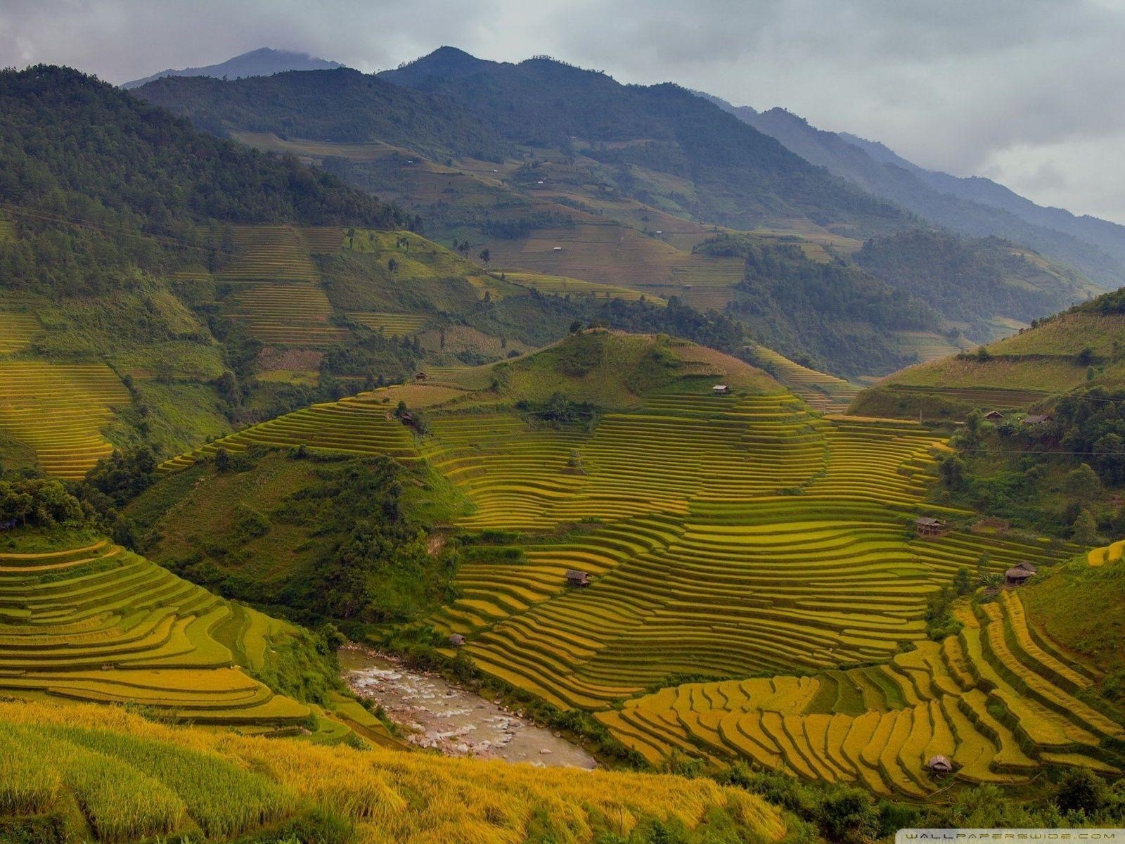 1600x1200 Rice Terraces Vietnam HD desktop wallpaper, High Definition, Desktop