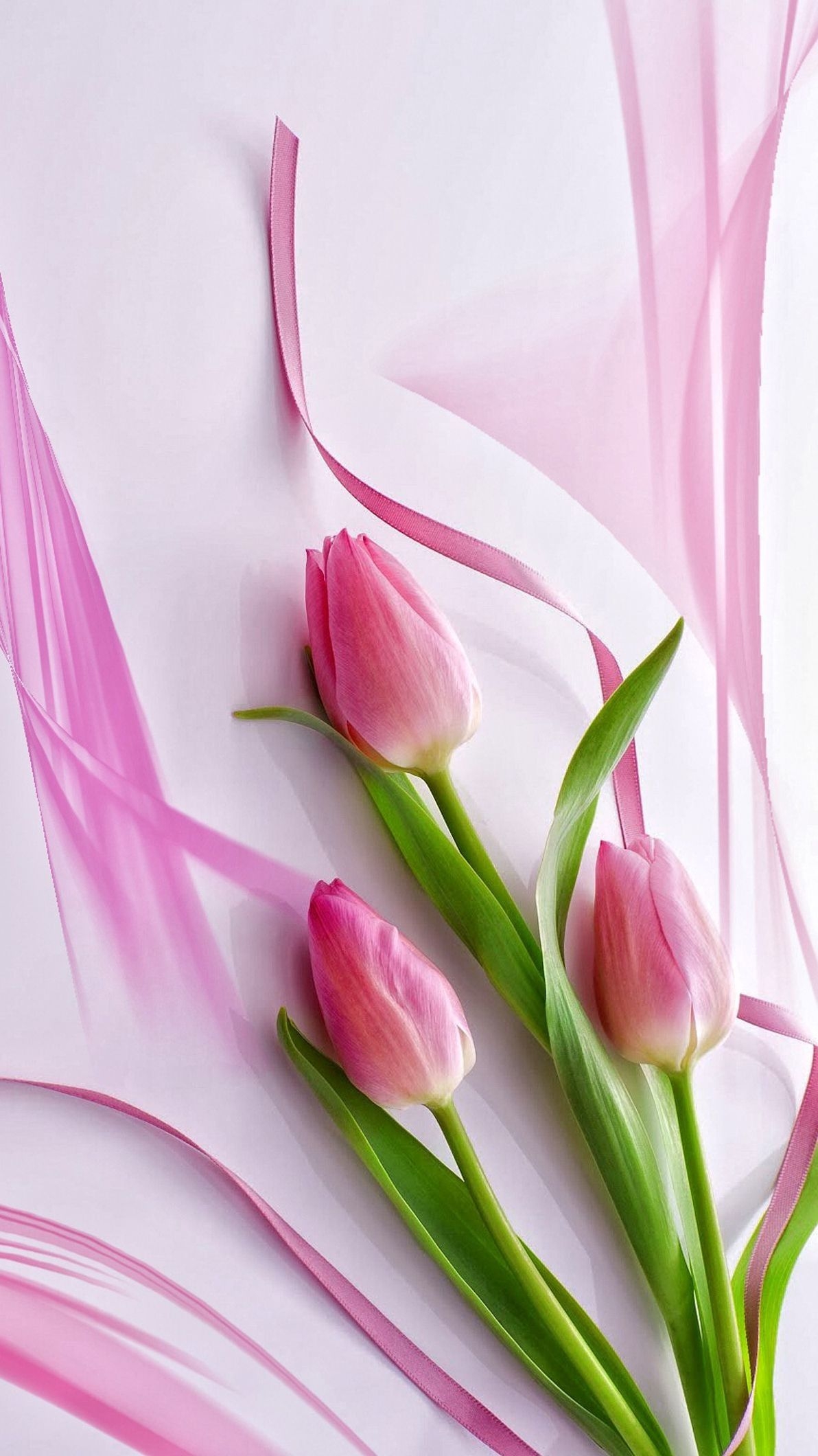 1200x2120 Pink Tulip Wallpaper, Phone