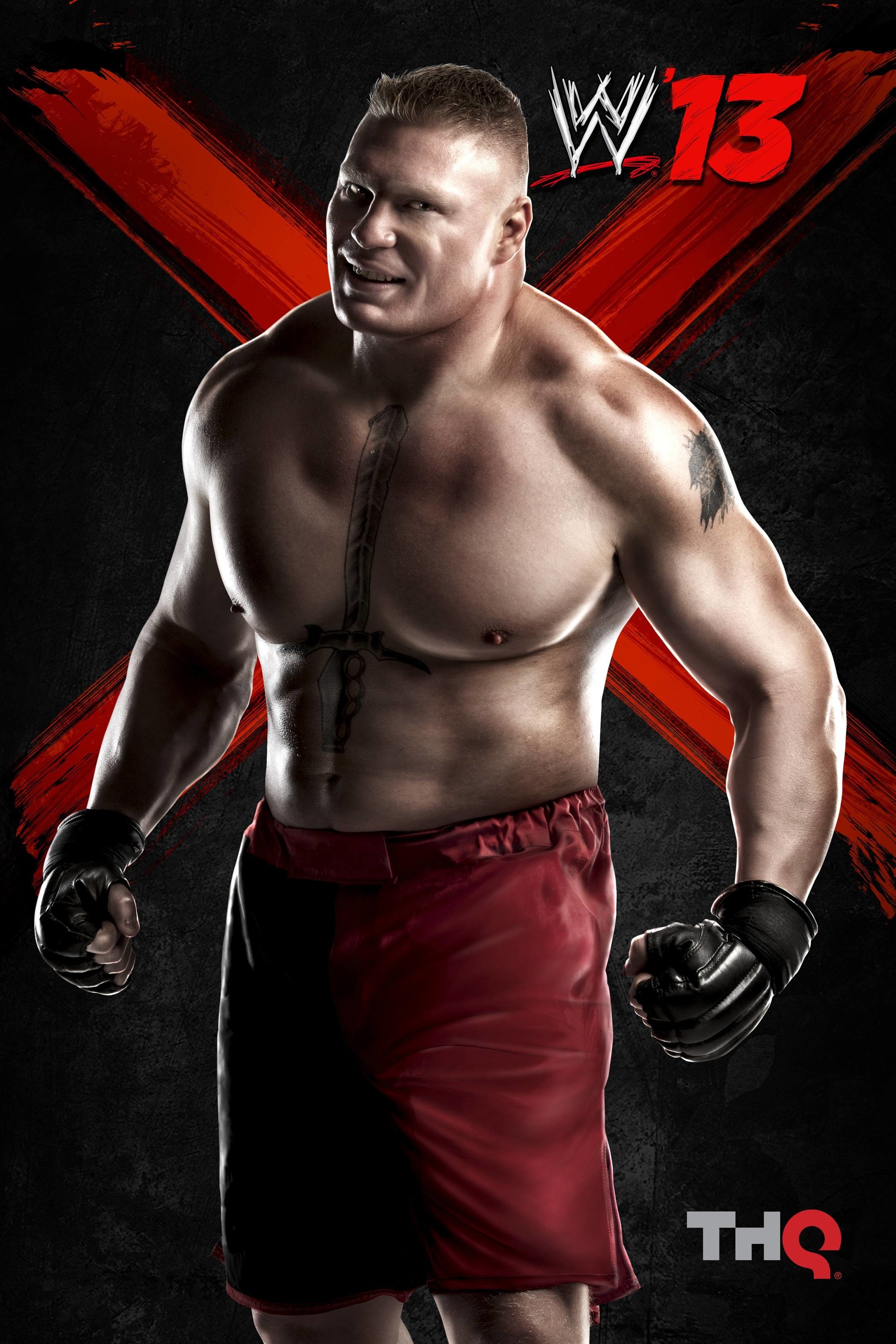 2100x3150 Brock Lesnar Logo, Phone