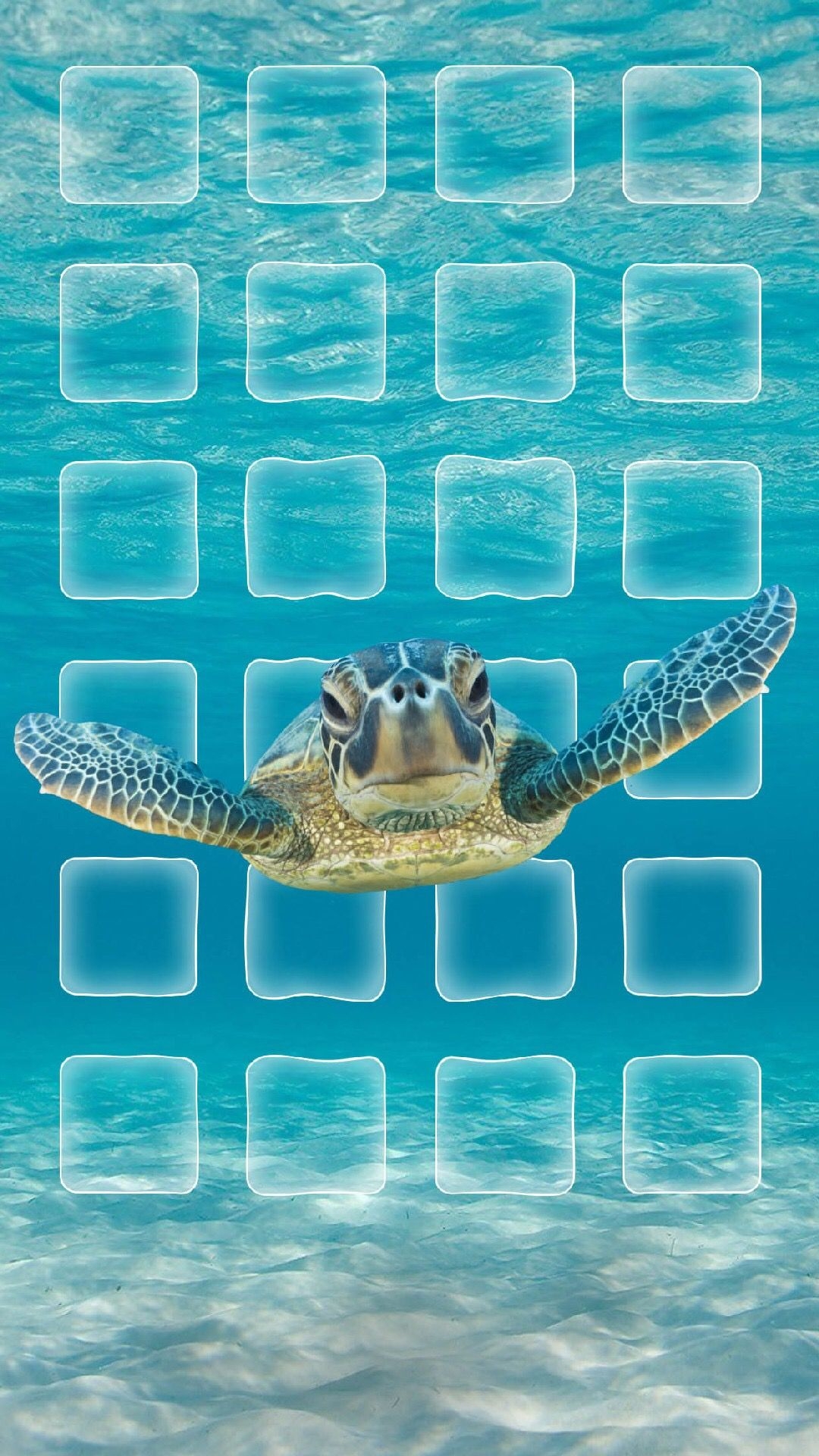 1080x1920 ↑↑TAP AND GET THE FREE APP! Nature Turtle Under the Sea Blue Animal Icon Beach Shining Summer Sand. iPhone wallpaper, Turtle wallpaper, Cool wallpaper for ipad, Phone