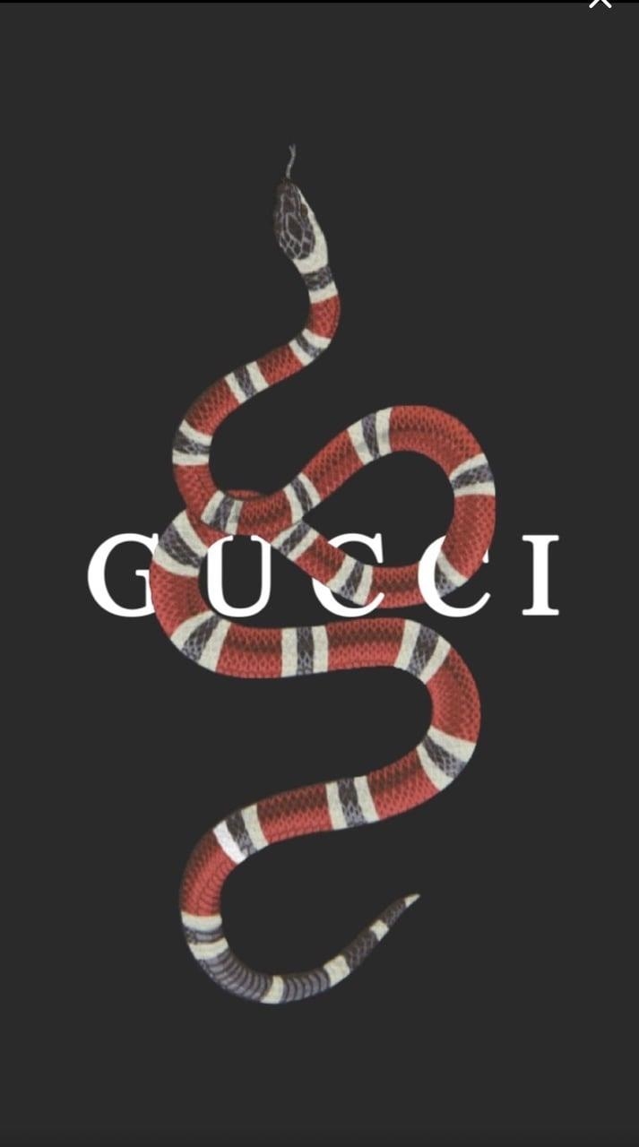 720x1280 Gucci iPhone Wallpaper & Background Download, Phone