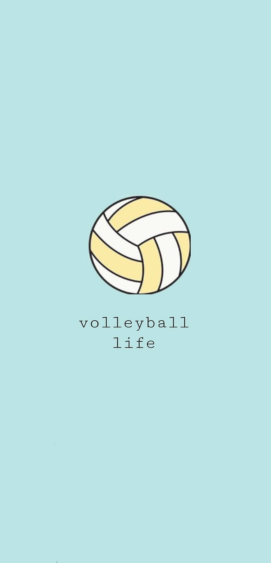 900x1870 Volleyball Aesthetic Wallpaper, Phone