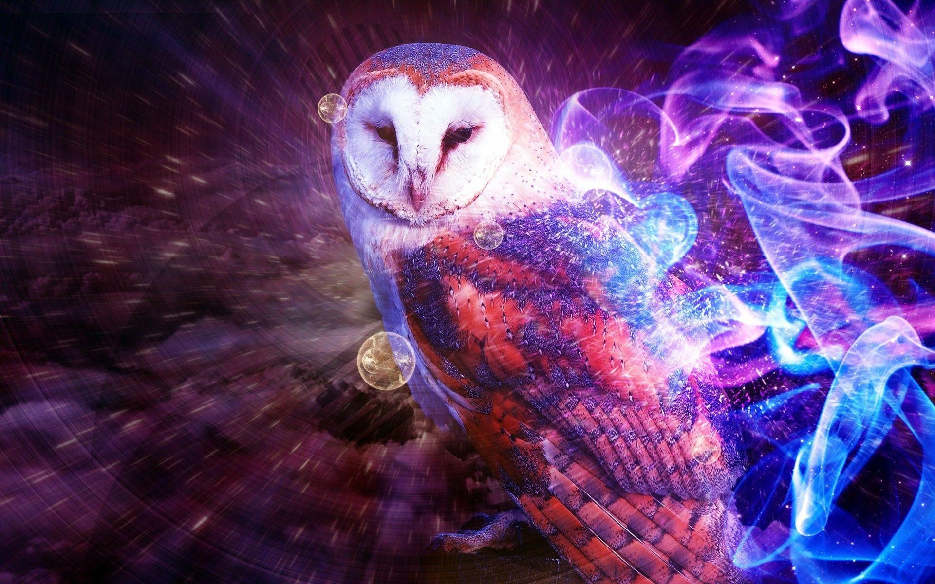 1920x1200 Owl Wallpaper HD wallpaper search, Desktop