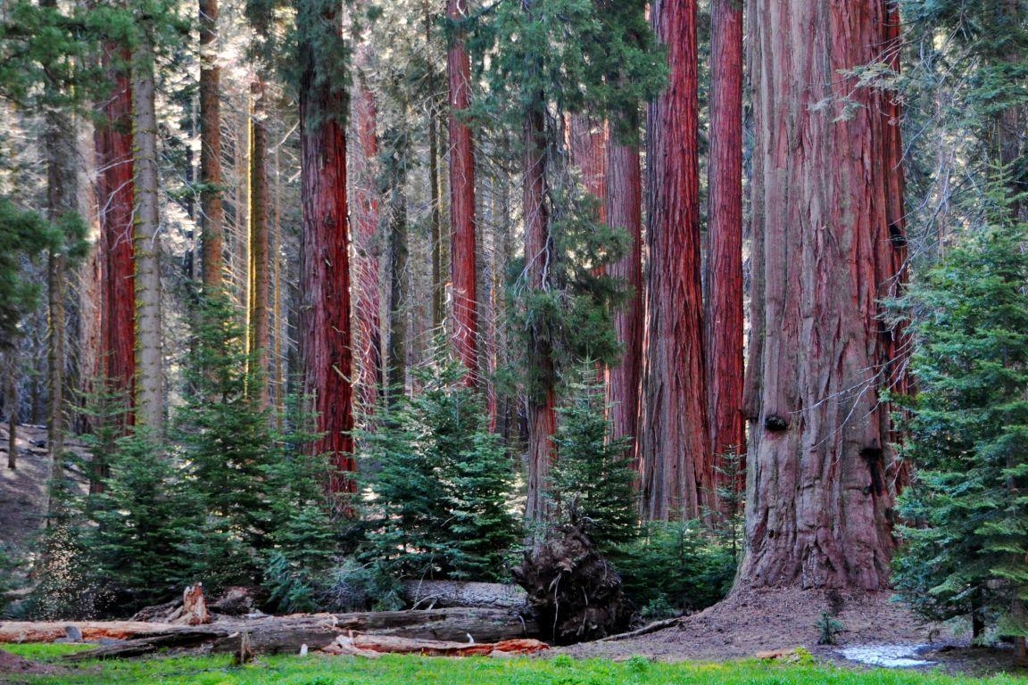 1160x770 Kings Canyon National Park HD Wallpaper, Desktop