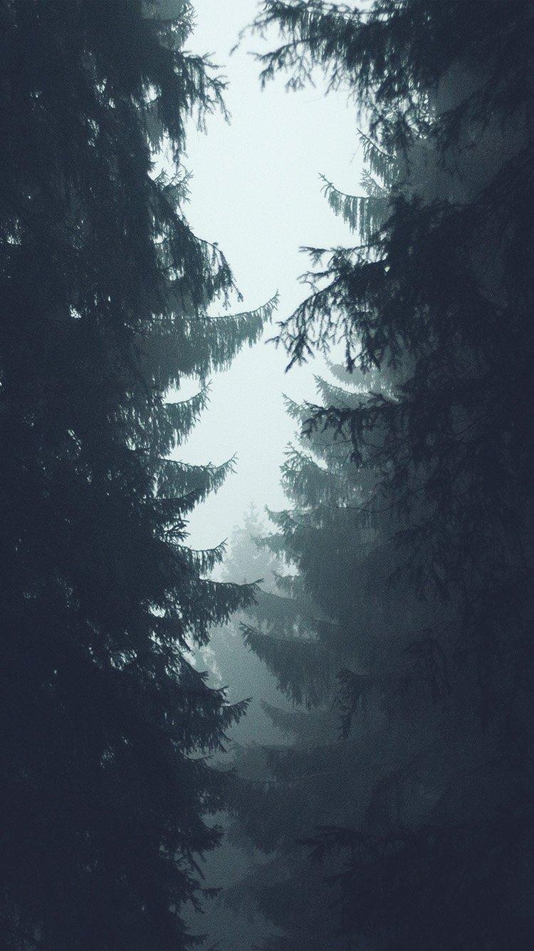 750x1340 iPhone 7 Wallpaper 4k Wallpaper Download, Phone