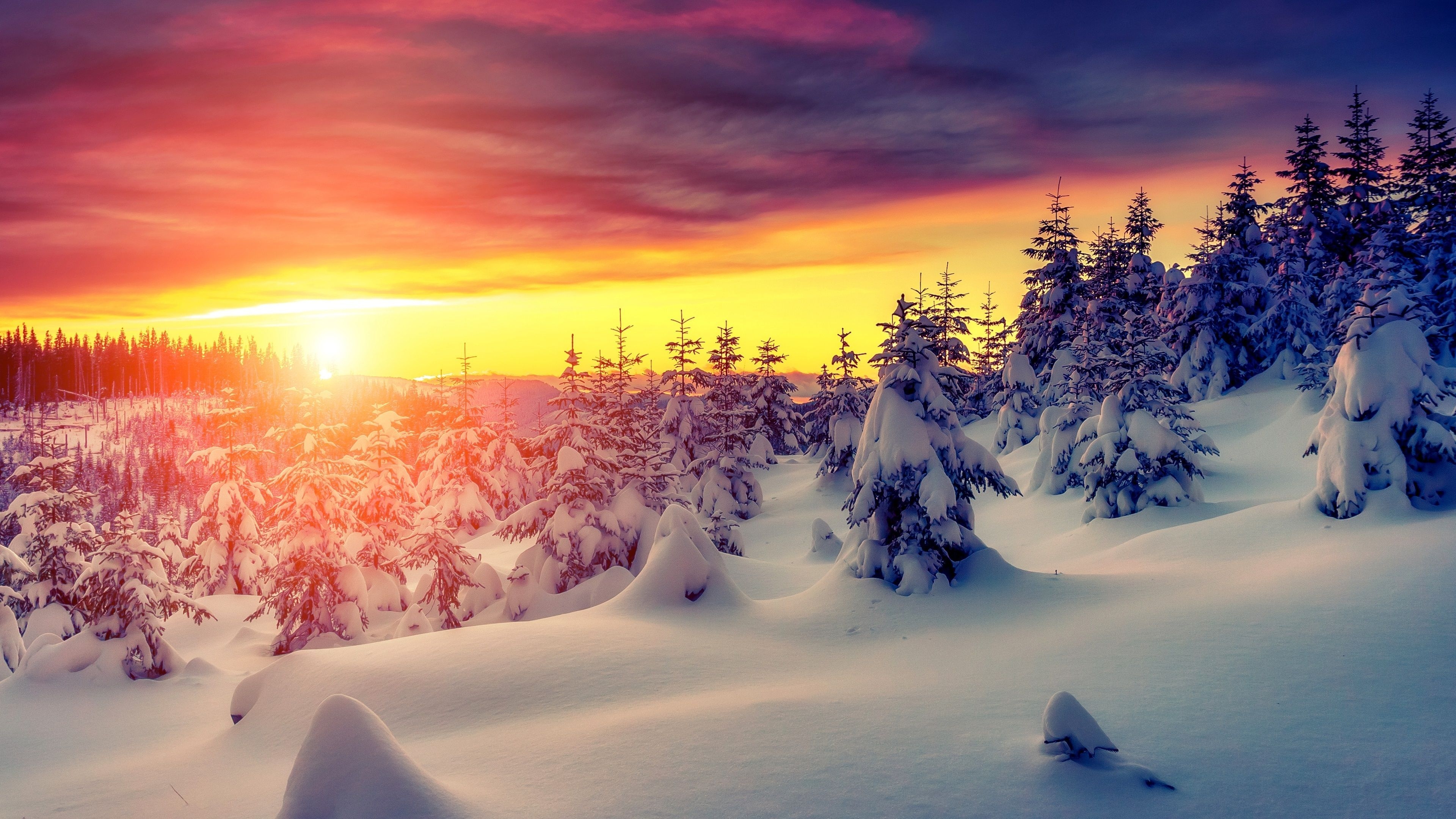 3840x2160 Snow 4K Wallpaper Free Snow 4K Background, Desktop