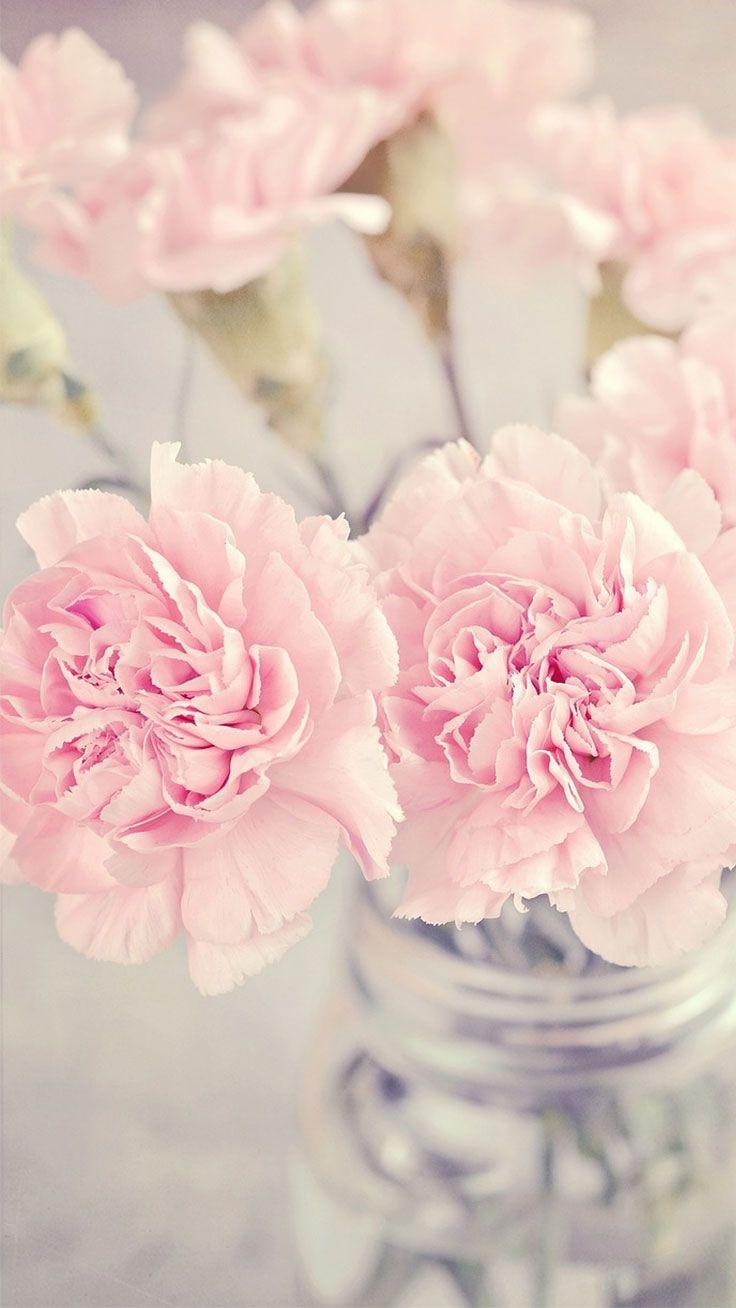 740x1310 Cute Pink Peonies iPhone Wallpaper. Preppy Wallpaper. iPhone wallpaper preppy, Preppy wallpaper, Pink wallpaper iphone, Phone