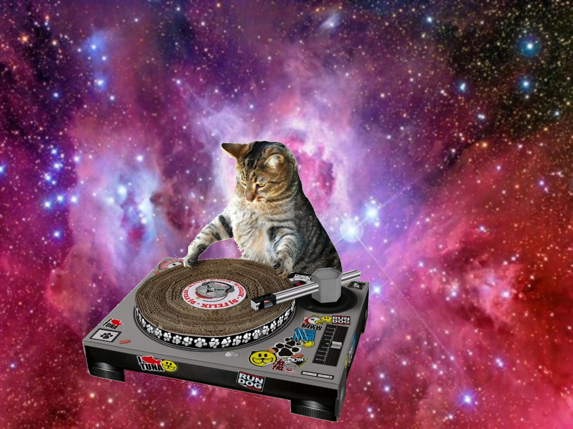 1990x1490 Hipster Space Cat iPhone Wallpaper. Best NEW Wallpaper HD, Desktop