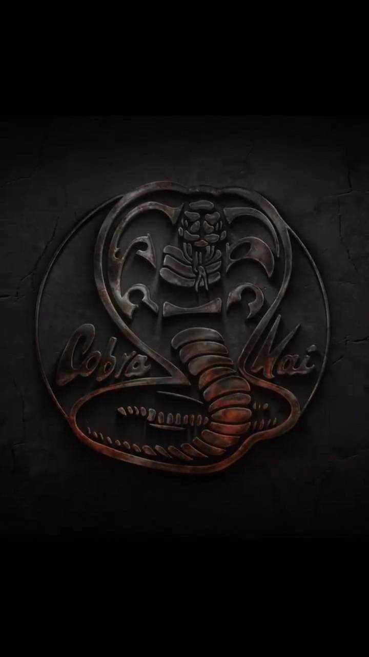 720x1280 Cobra Kai Wallpaper, Phone