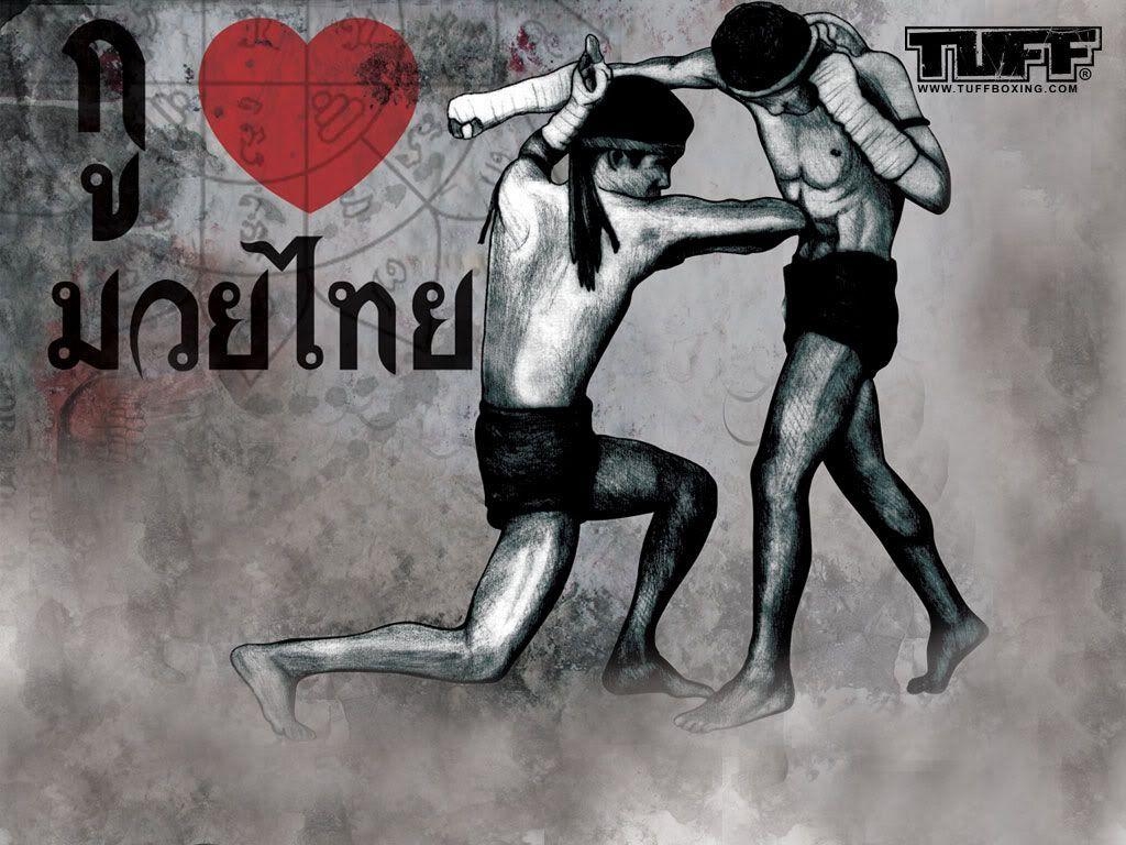 1030x770 Download free Nokia N muaythai wallpaper most downloaded last, Desktop