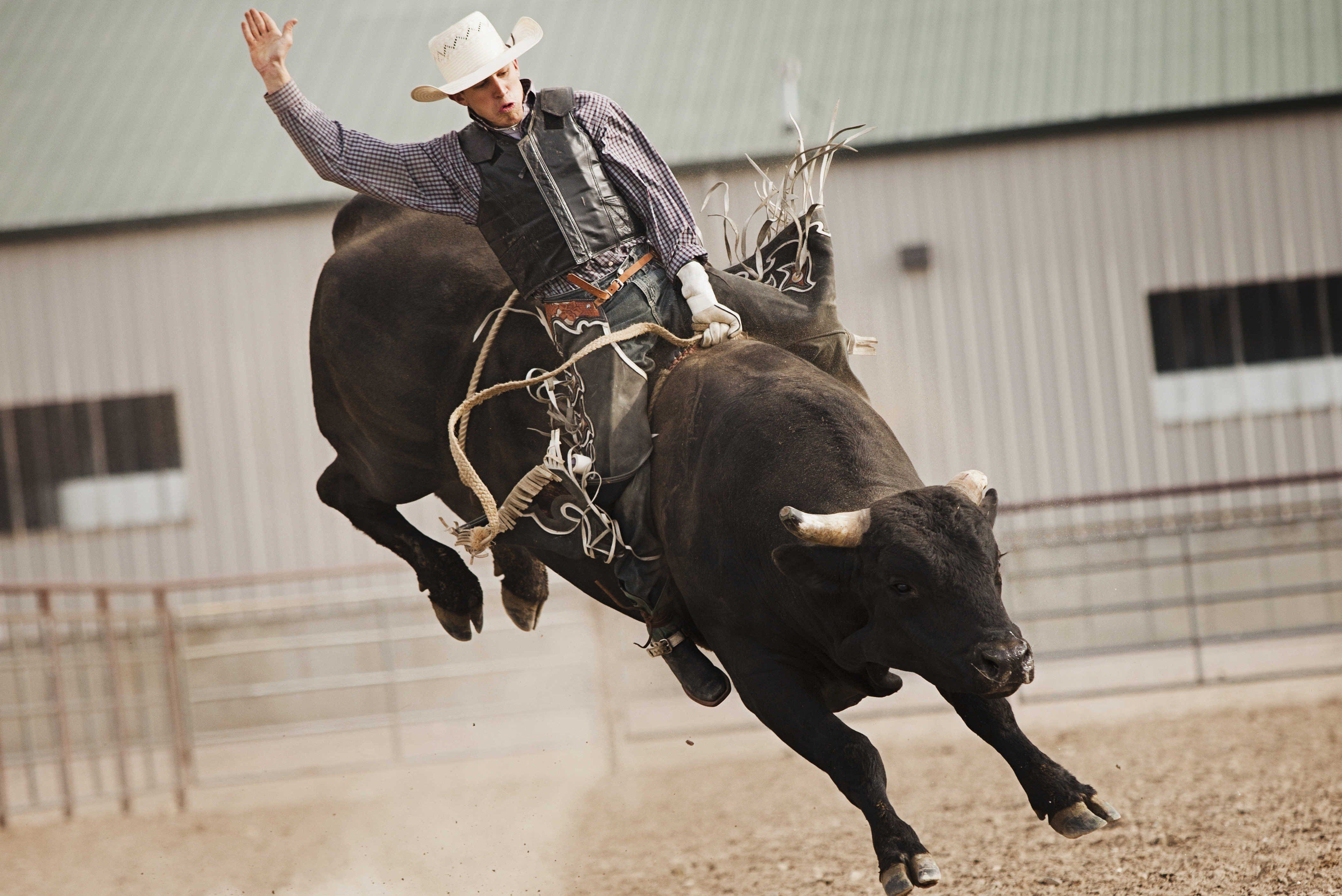 4200x2810 Wallpaper.wiki Bull Riding Background For Desktop PIC WPC008221, Desktop