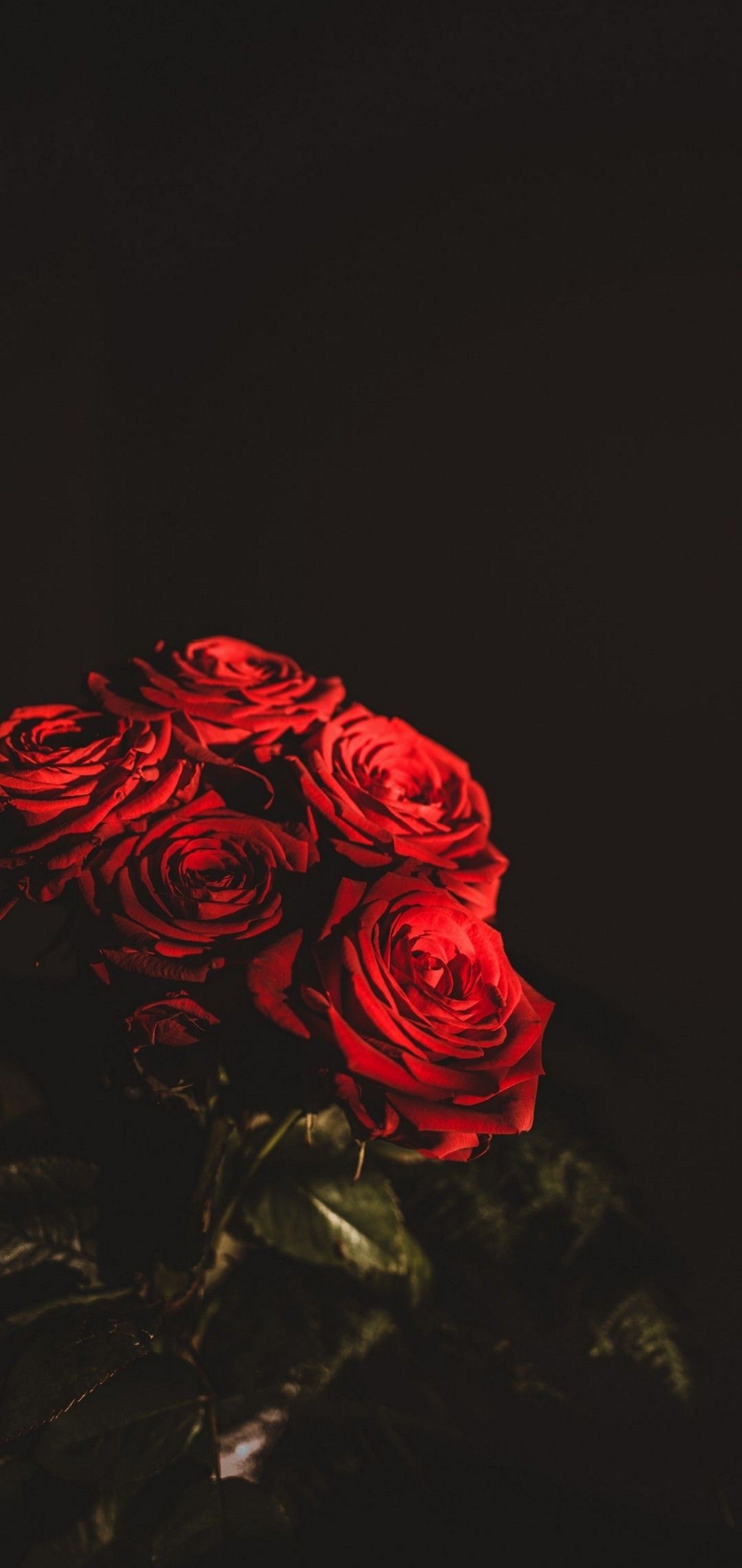 1440x3040 Dark Red Flowers Bouquet Wallpaper - [], Phone