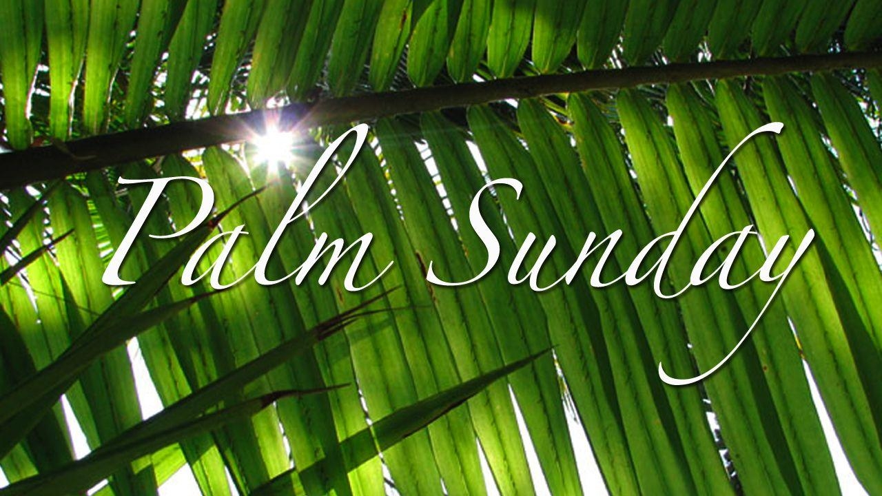 1280x720 Palm Sunday HD Wallpaper and Image Download Free, Desktop