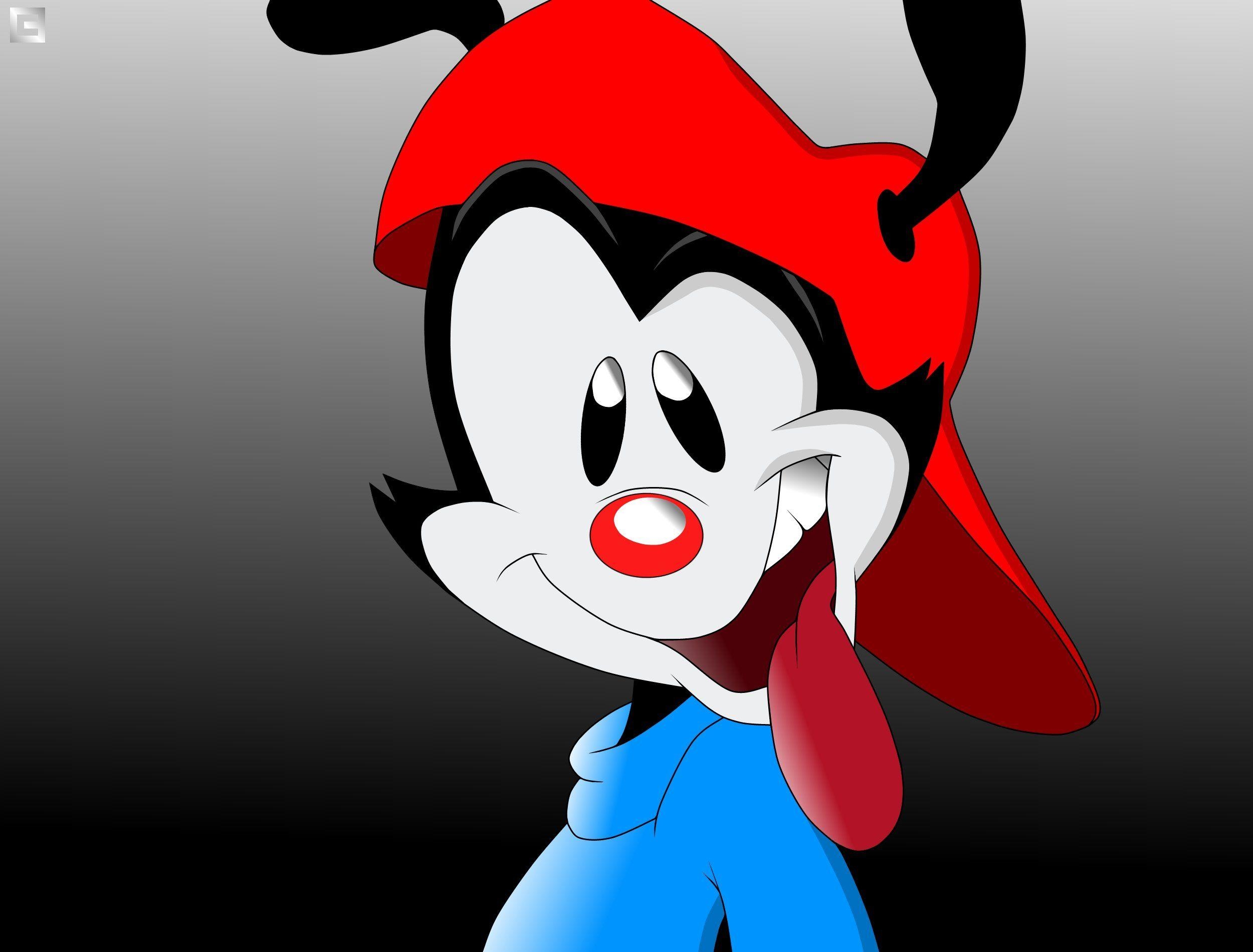 2500x1900 animaniacs wallpaper, Desktop