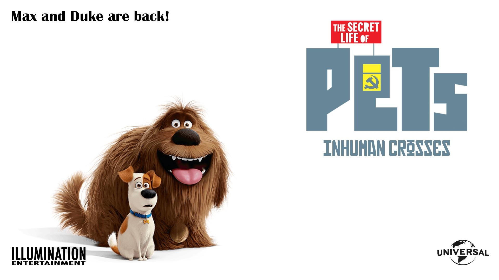 1920x1080 The Secret Life of Pets: Humans Know, Desktop