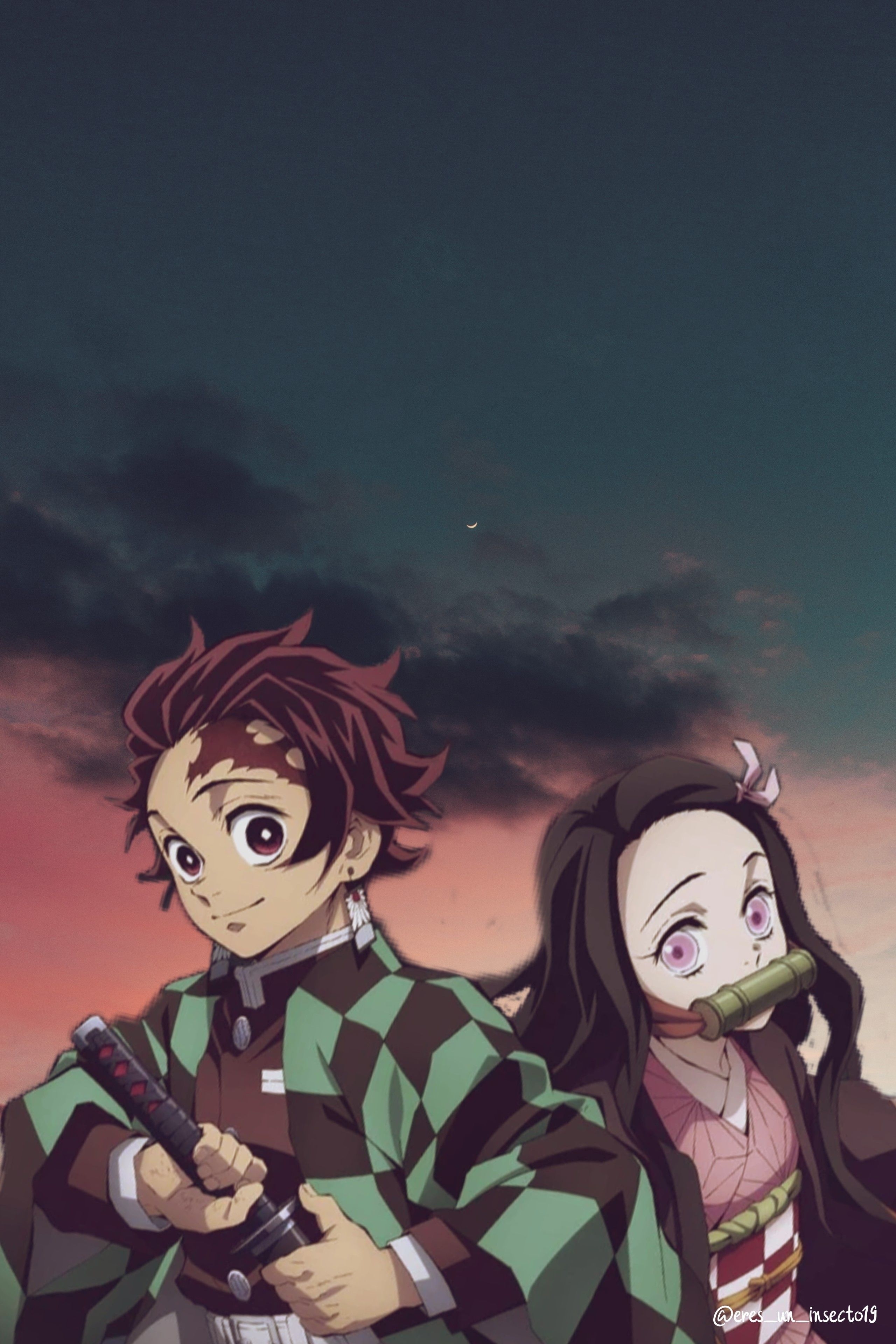 2560x3840 Tanjiro and Nezuko. Cool anime wallpaper, Anime wallpaper phone, Cute anime wallpaper, Phone