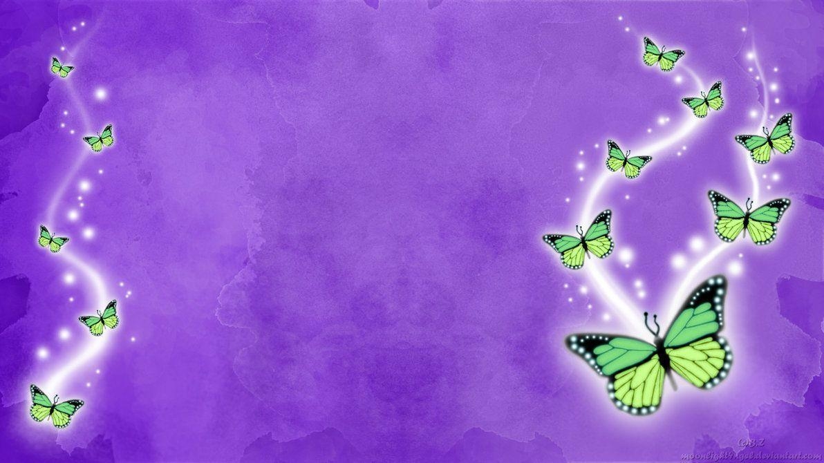 1200x670 Latest Butterfly HD Wallpaper Download. HD Free Wallpaper Download, Desktop