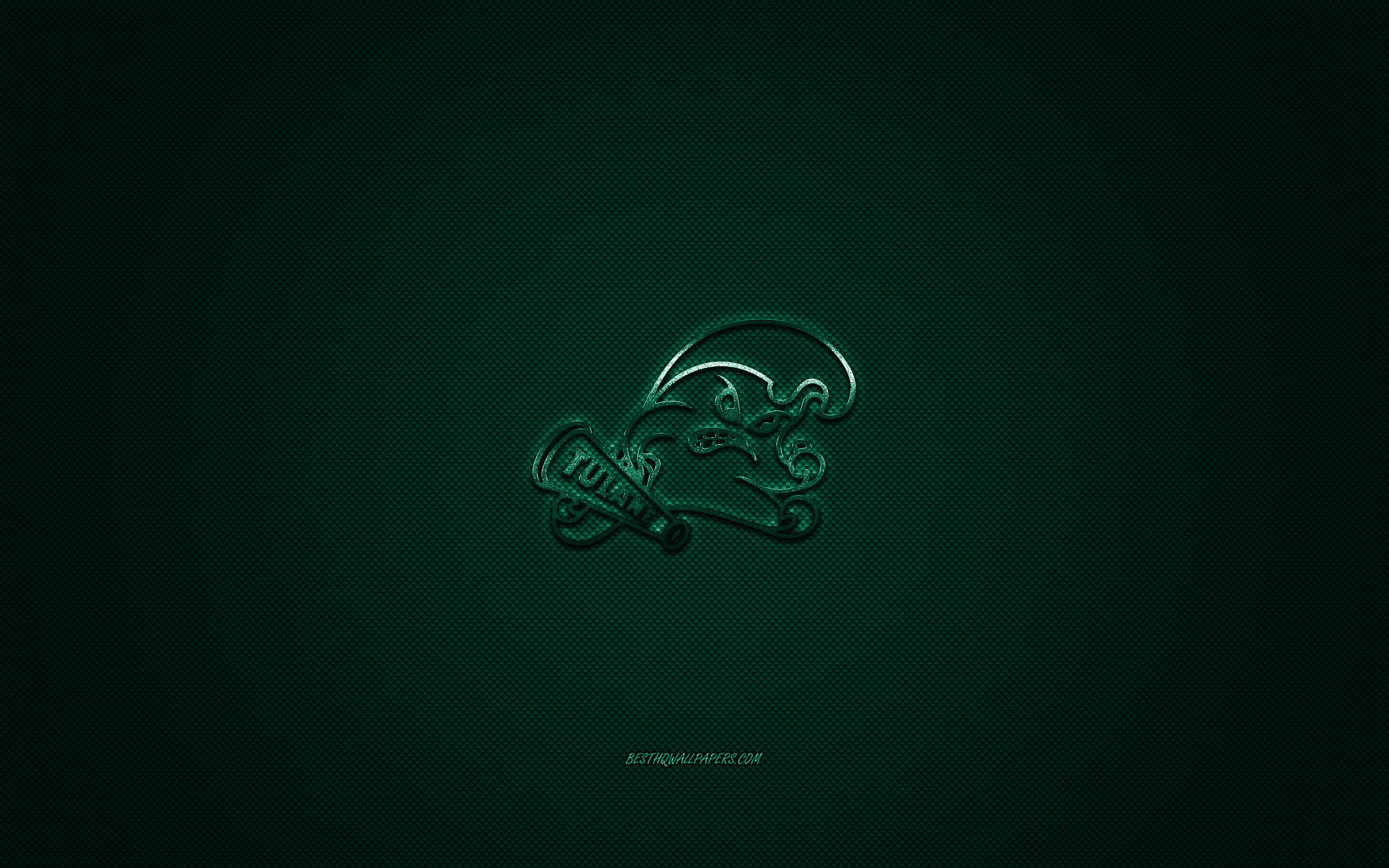 2560x1600 Download wallpaper Tulane Green Wave logo, American football club, NCAA, green logo, green carbon fiber background, American football, New Orleans, Louisiana, USA, Tulane Green Wave for desktop with resolution. High Quality, Desktop