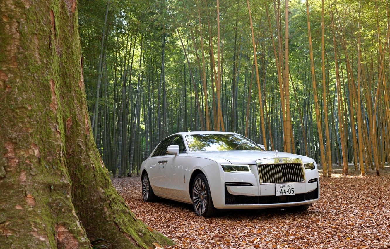 1340x850 Wallpaper Forest, White, Nature, Rolls Royce, Rolls Royce Ghost Image For Desktop, Section другие марки, Desktop