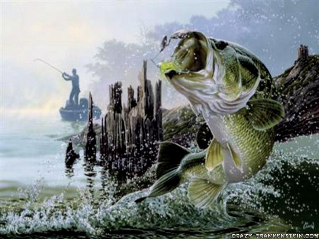 1030x770 Cool Fishing Games Hd, Desktop