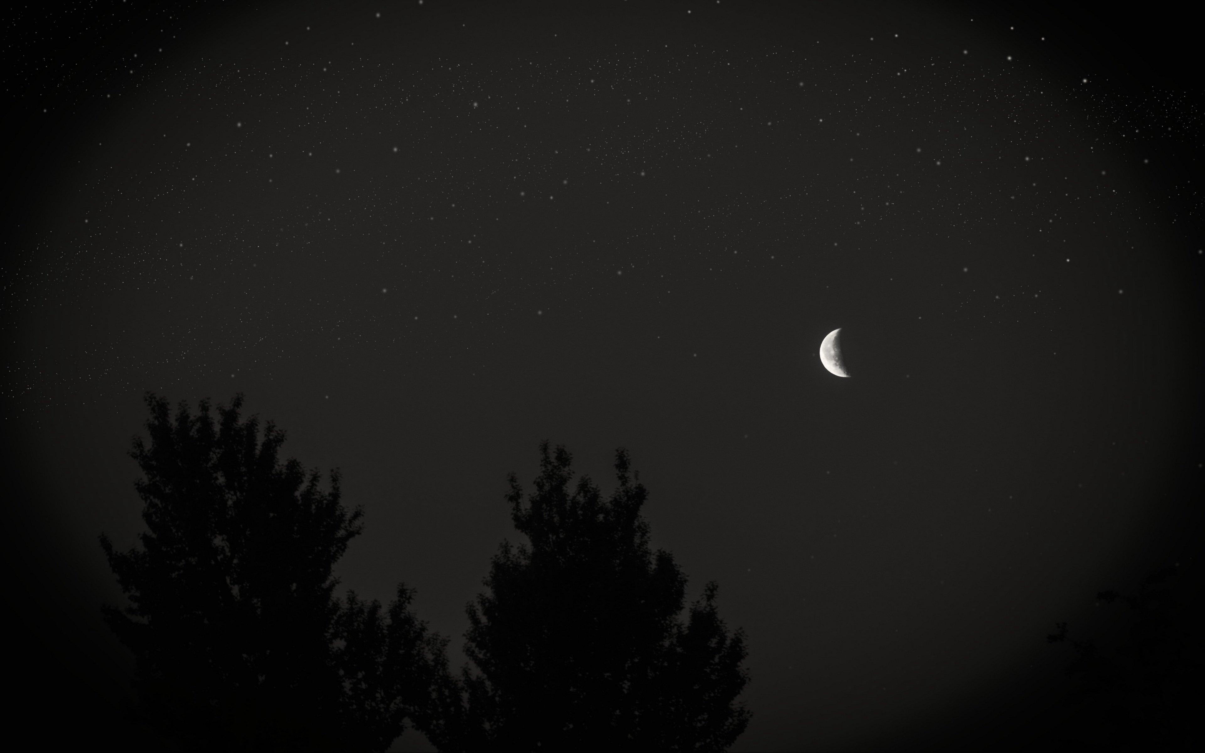 3840x2400 Download wallpaper  moon, night, sky, tree, stars, Desktop