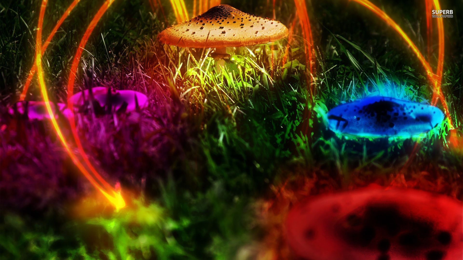 1920x1080 Neon Trippy Mushrooms Wallpaper. Neon Wallpaper, Neon Flowers Wallpaper and Neon Skeleton Wallpaper, Desktop