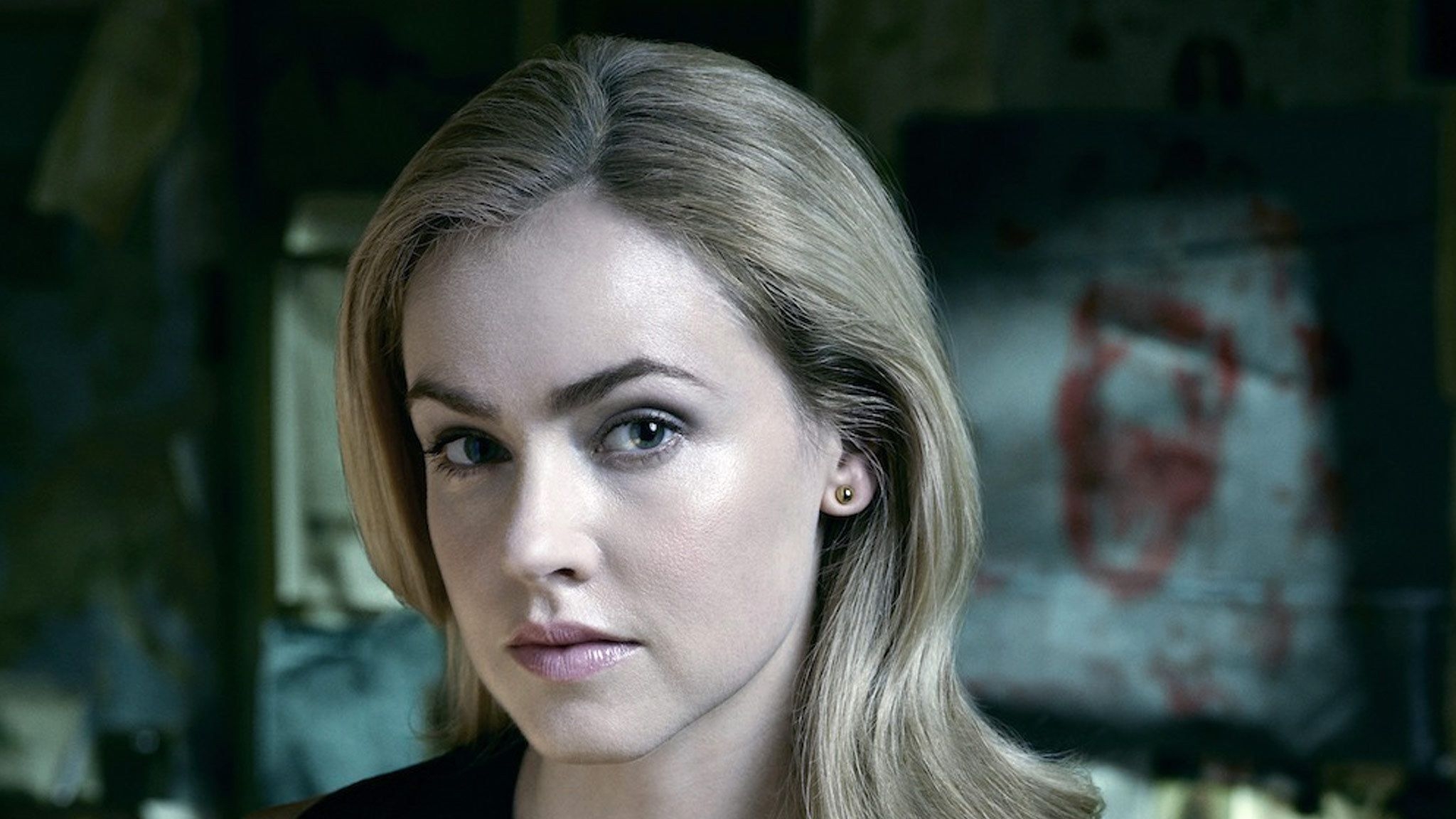 2050x1160 Amanda Schull Background, Desktop