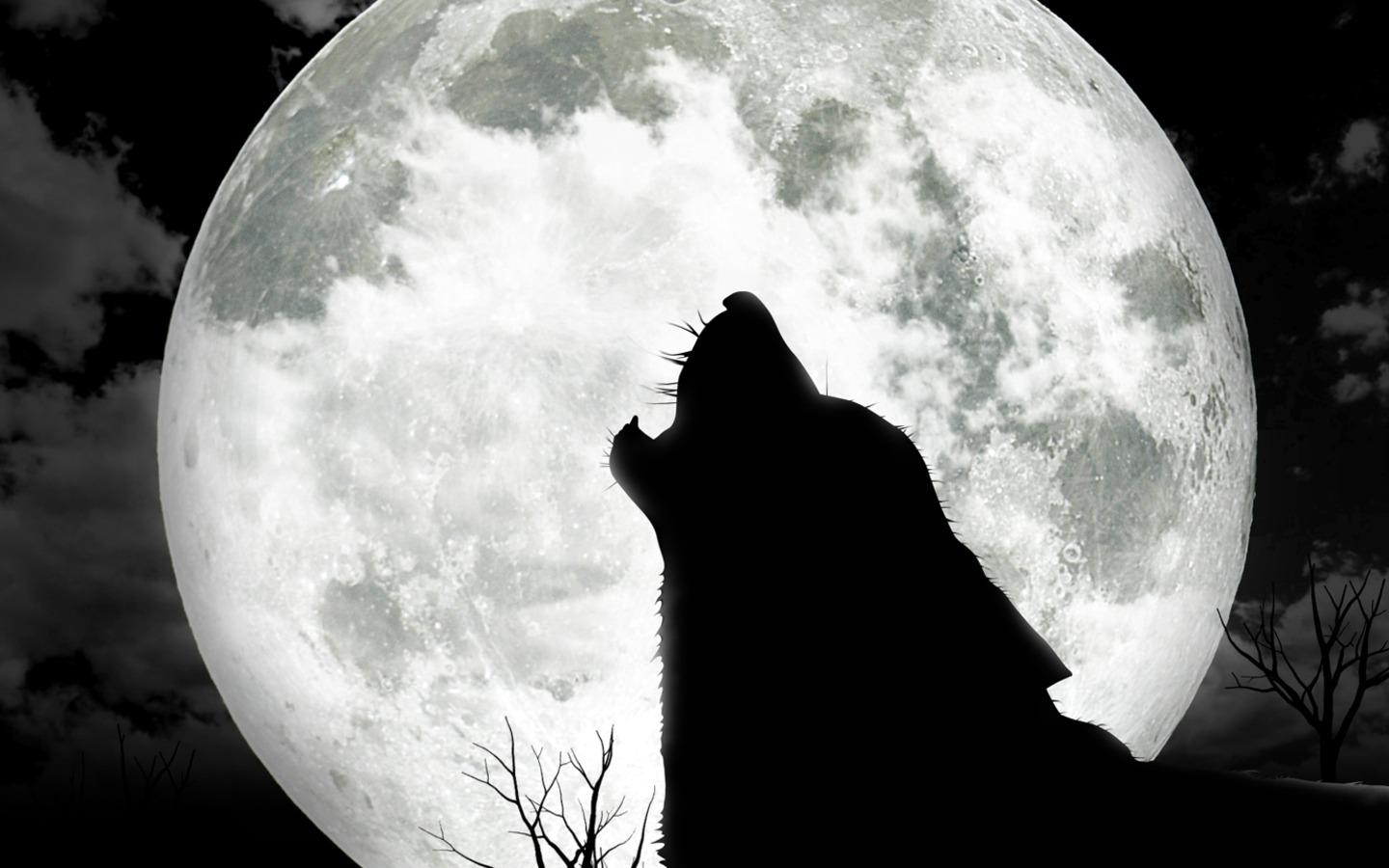 1440x900 Wolf moon wallpaper Gallery, Desktop