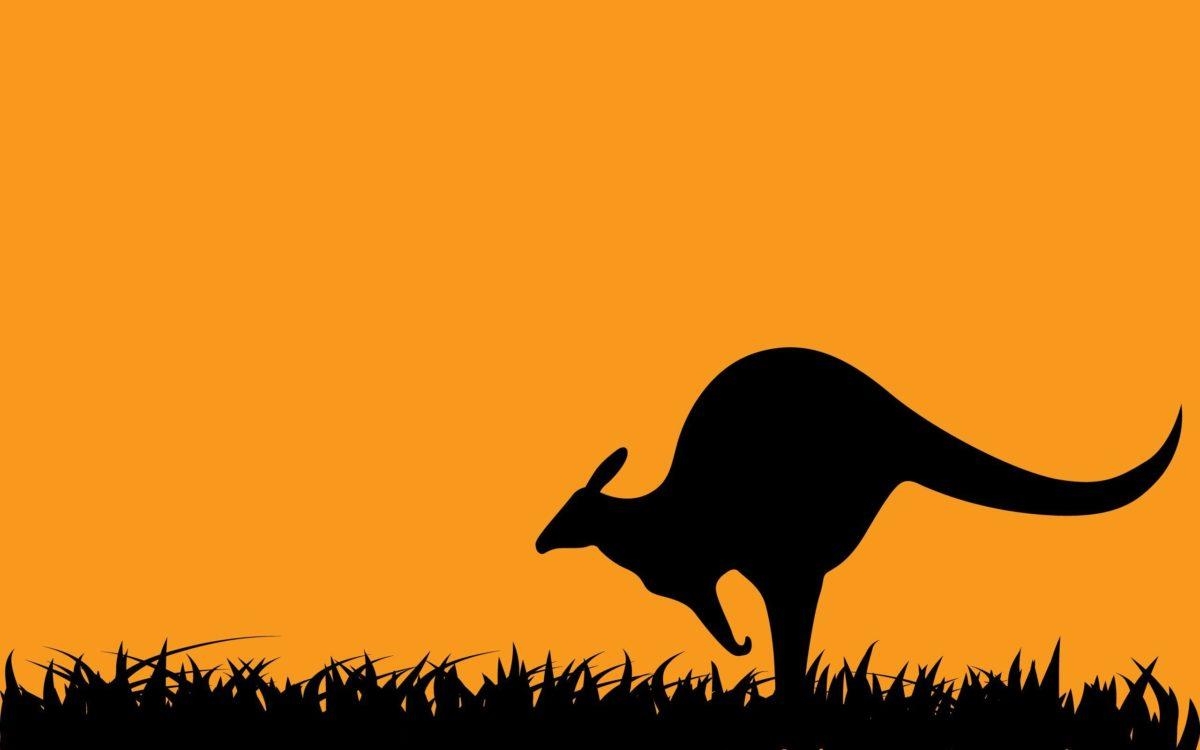 1200x750 Art Kangaroo Wallpaper, Desktop