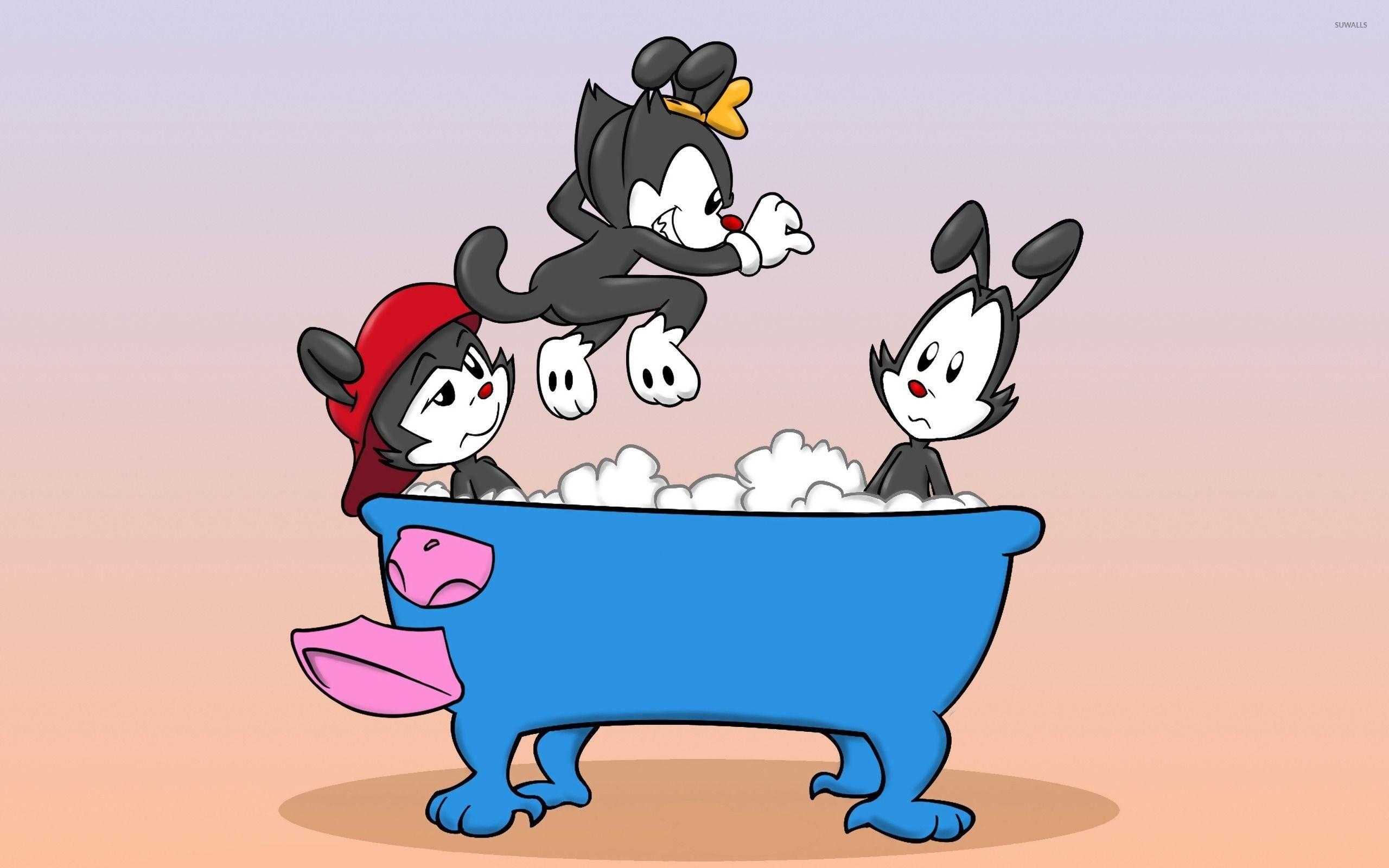 2560x1600 Animaniacs wallpaper wallpaper, Desktop