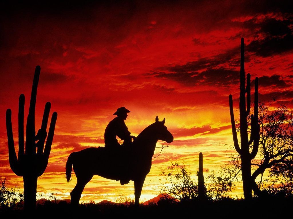 1030x770 silhouette cowboy in the sunset. Horse.com, Desktop