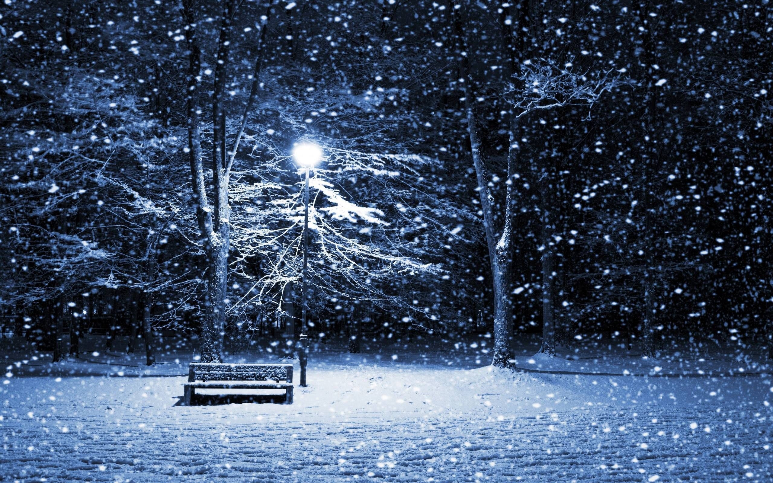 2560x1600 Winter Snow Wallpaper Free Winter Snow Background, Desktop