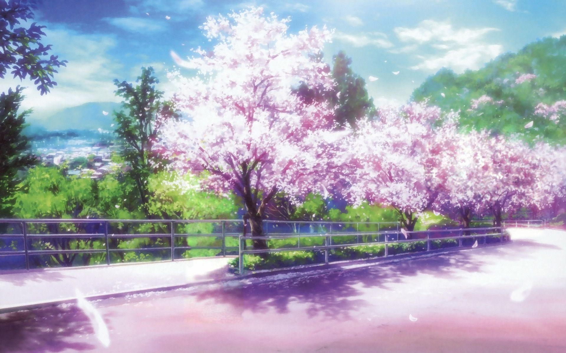 1920x1200 Cherry Blossoms Anime Scenery Wallpaper Free Cherry, Desktop