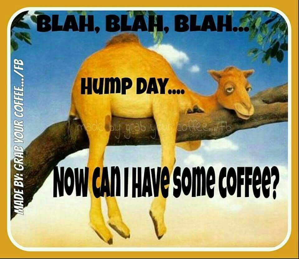 960x840 Blah Blah Blah Hump Day Can I Have Coffee. Wednesday hump day, Funny good morning quotes, Good morning wednesday, Desktop