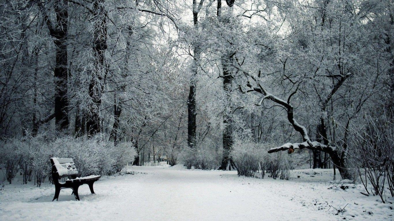 1370x770 Snow HD Wallpaper  For Desktop Background, Desktop