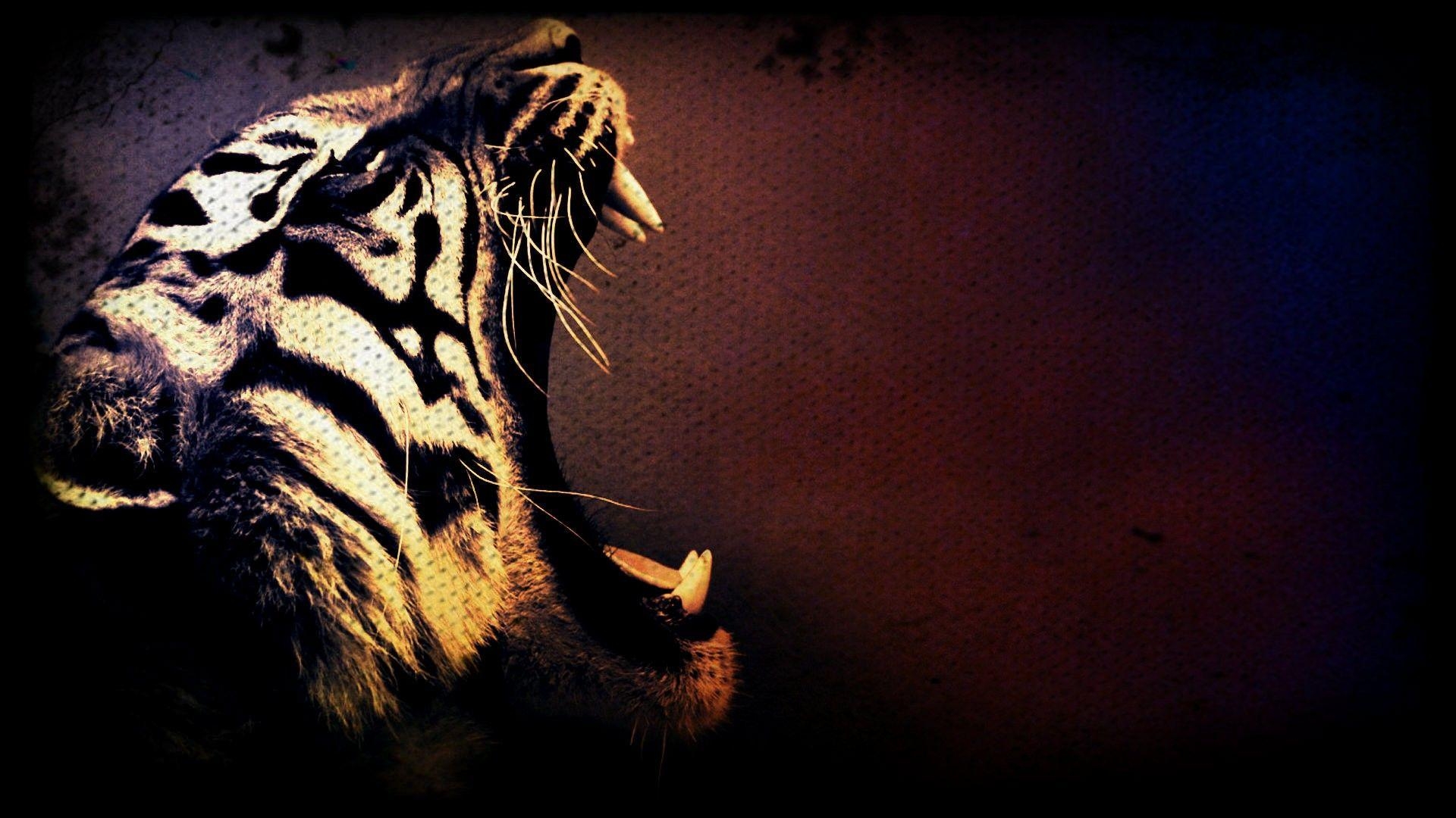 1920x1080 3D Tiger HD Wallpaper, Desktop