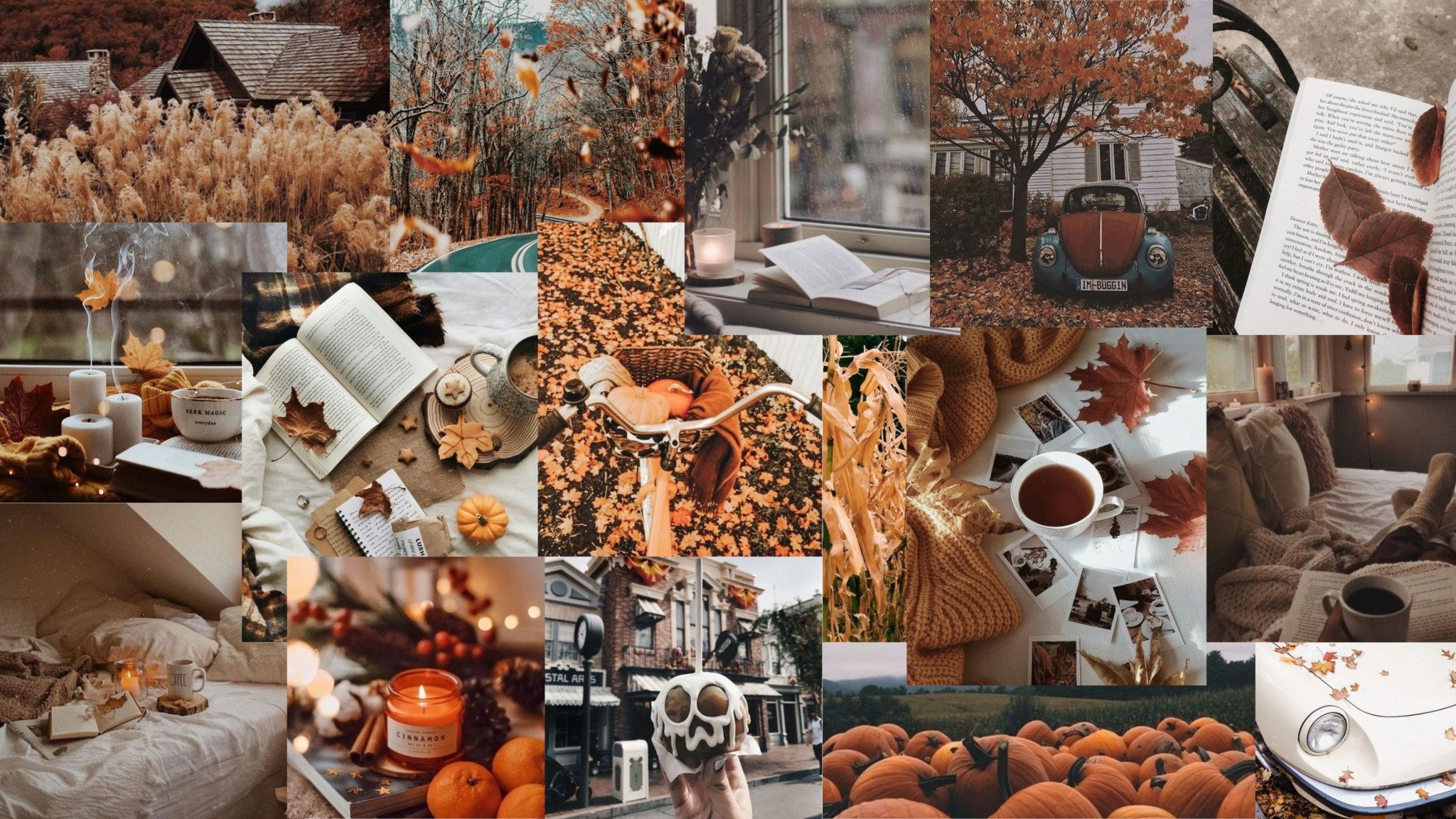 2050x1160 Autumn Collage Laptop Wallpaper, Desktop