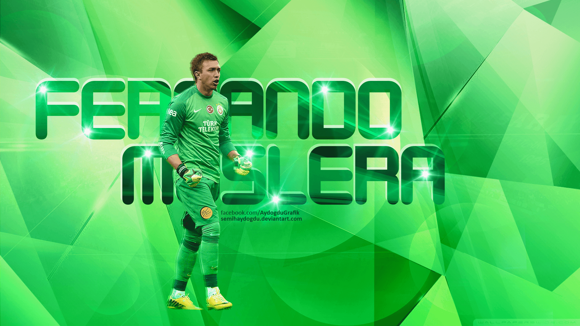 1920x1080 Fernando Muslera v1, Desktop