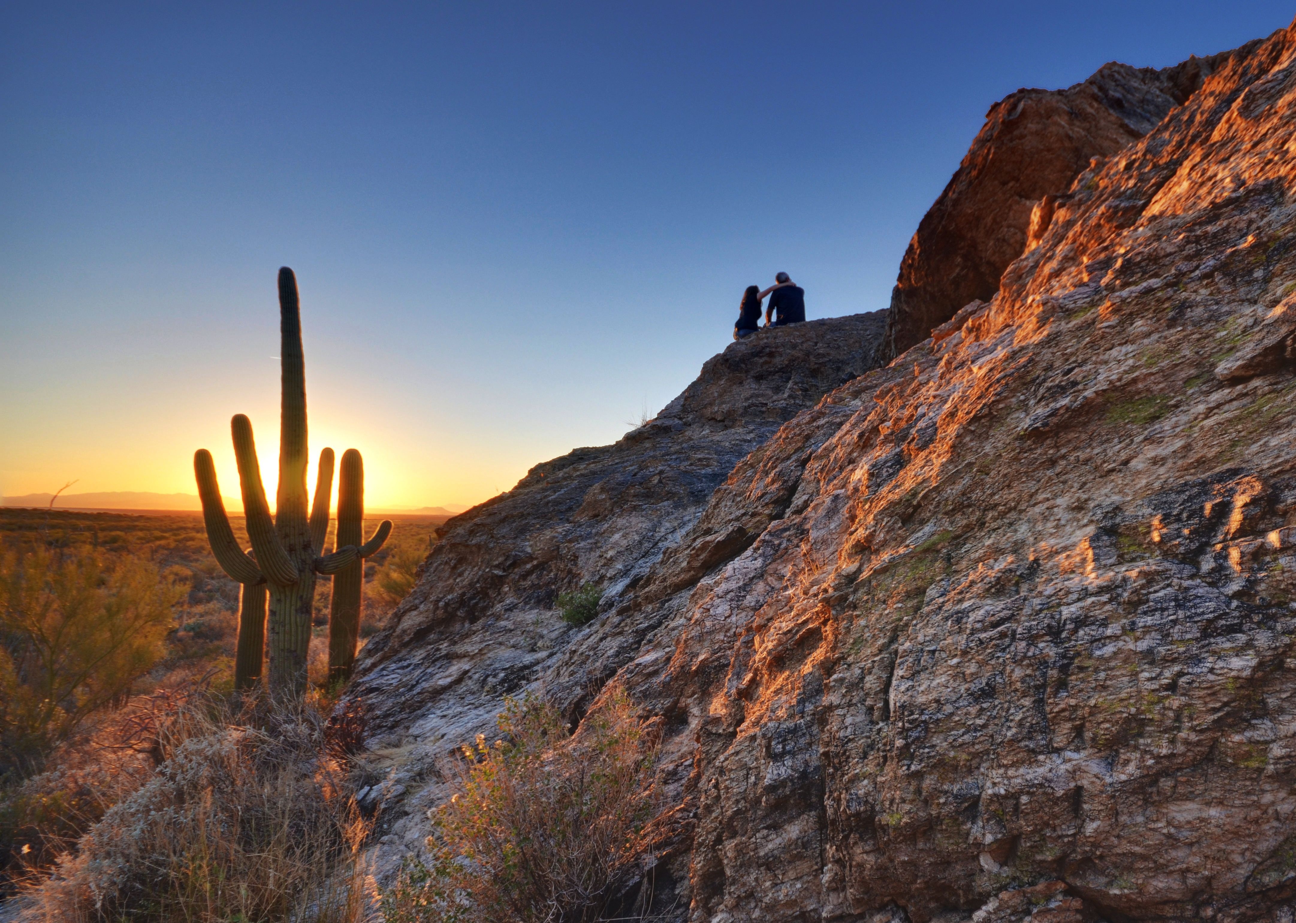 4330x3090 Saguaro National Park Park in Arizona, Desktop