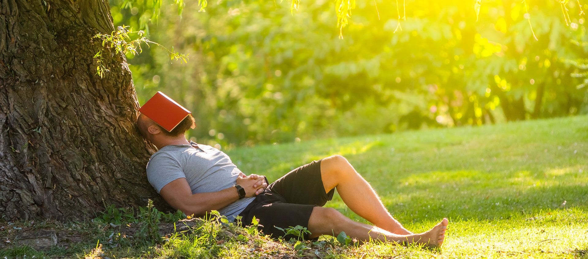 1920x850 To Nap or Not to Nap? Ayurveda Has the Answer, Dual Screen