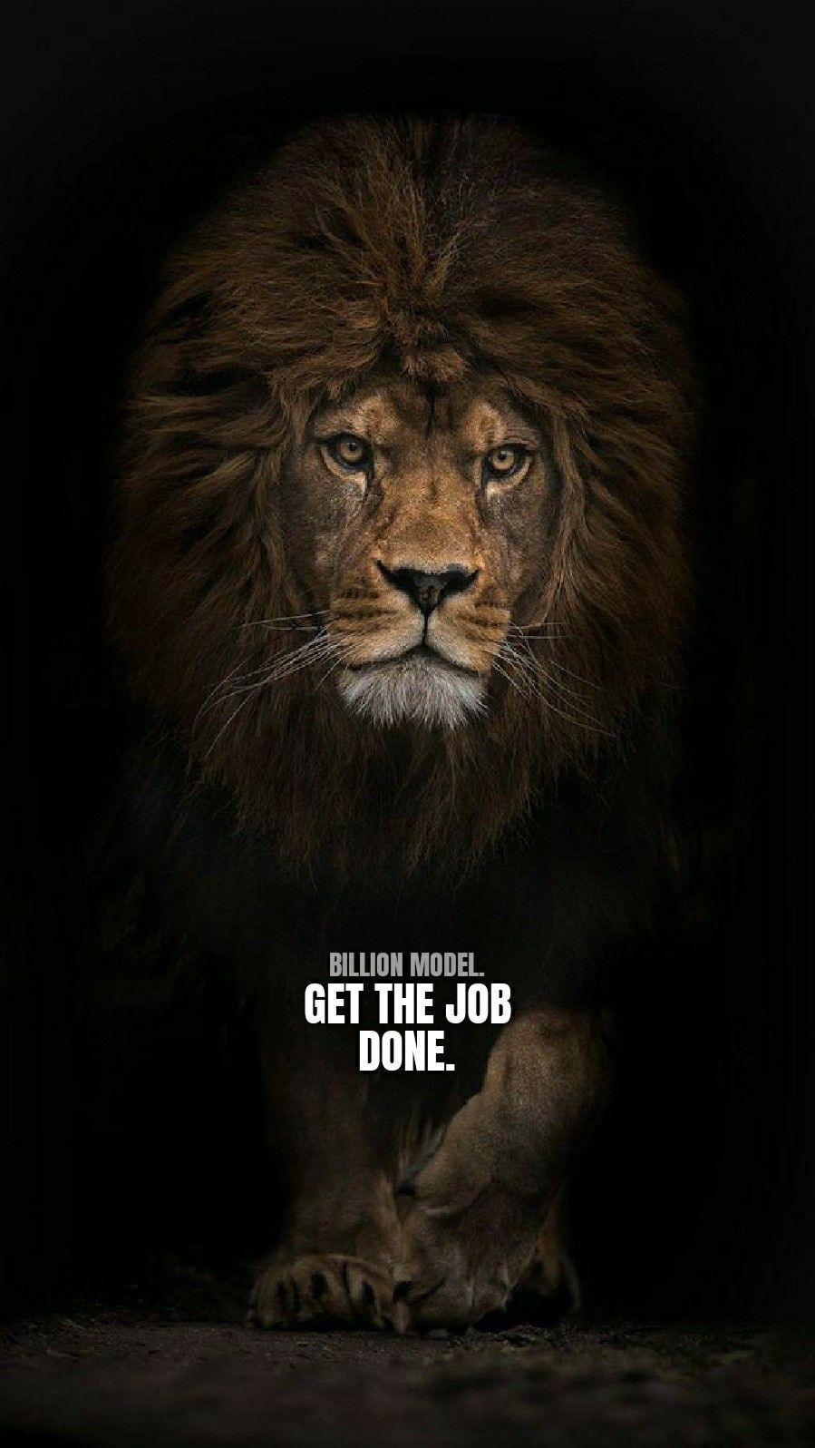 900x1600 Get the job done. #lion #quotes #motivation #life. Inspirational, Phone