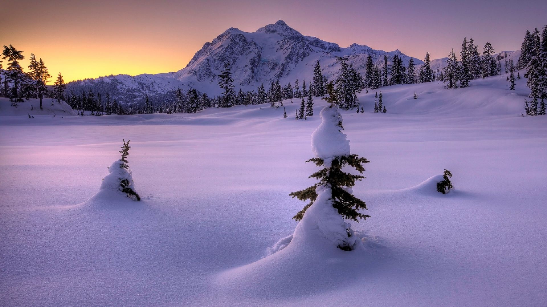 1920x1080 Snow Fall In Winter. HD Nature Wallpaper for Mobile and Desktop, Desktop