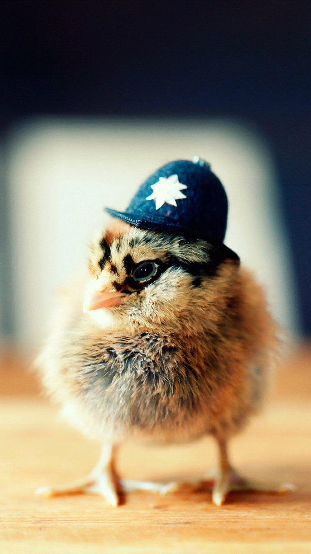 1080x1920 Police chick, so cute. Cute Animals iPhone Wallpaper, Phone