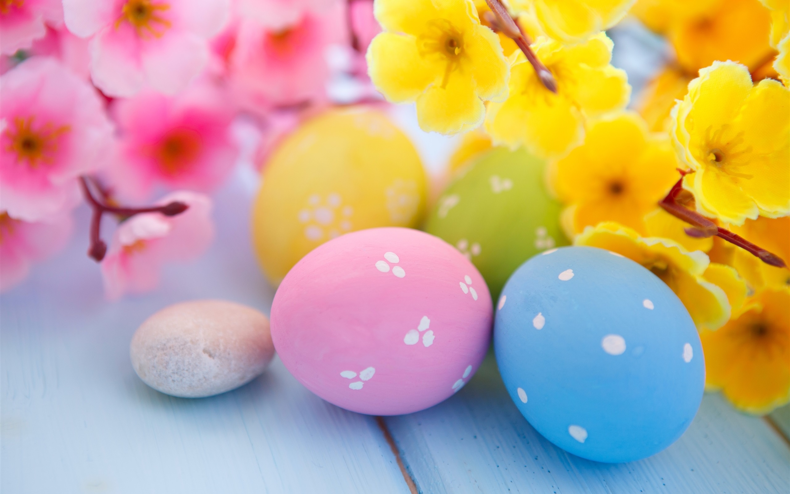 2560x1600 Easter Eggs and Spring Blossoms HD Wallpaper, Desktop